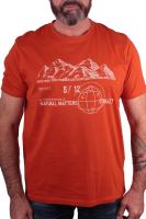 RAY T-Shirt mit Druck orange